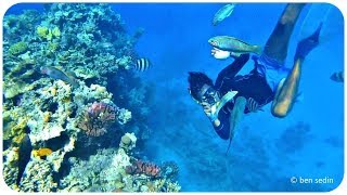 Red Sea Snorkeling  Hurghada Egypt [upl. by Annaul]