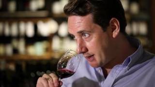 Why is Malbec so popular  Henry Jefferys [upl. by Aikcir]