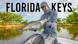 Florida Keys Light Tackle Tarpon Fishing [upl. by Puiia404]