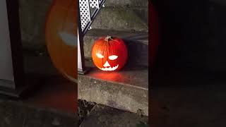 Nieces carved pumpkins [upl. by Conney]