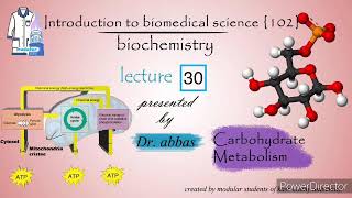 Biochemistry  Dr Abbas  Module 102  Lec 30 Carbohydrate metabolism amp Lipid metabolism [upl. by Othella]