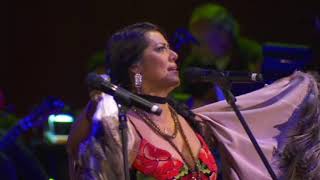 Eugenia León Fernando de la Mora y Lila Downs quotLos Huapangosquot [upl. by Kalinda464]