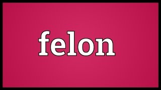 Felon Meaning [upl. by Harelda581]