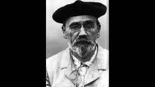 Émile Zola  Germinal Analyse [upl. by Llerdnam]