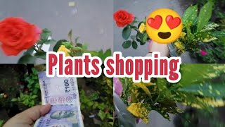 plants shopping mini vlog  plant market [upl. by Einnalem]