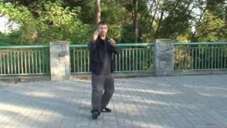 Traditional Yang Style Tai Chi Chuan  2nd section Vancouver BC [upl. by Fenelia]