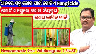 ଧାନରେ ସବୁ ରୋଗ ପାଇଁ ଗୋଟିଏ Fungicide Best fungicide for paddy [upl. by Ihab]