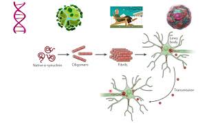 CNS Pharmacology21 antiparkinson Drugs part 2 [upl. by Ayifas]