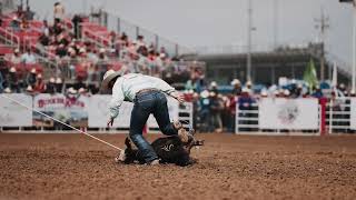 Tie Down Roping Highlights  Salinas Rodeo [upl. by Hacim]