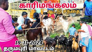 goat market karimangalam ஆட்டு சந்தை காரிமங்கலம் சந்தை தருமபுரி மாவட்டம் [upl. by Hoxie]