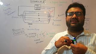 Discovery of anode rays class 11 Discovery of Proton class 11  Discovery of anode rays and proton [upl. by Halet]