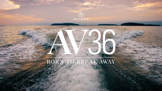 Aviara AV36  Born To Break Away [upl. by Valdemar866]