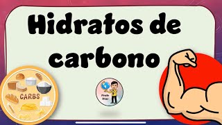 hidratos de carbono [upl. by Aikkin]