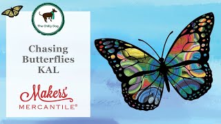 Chasing Butterflies KAL Announcement [upl. by Natalie]