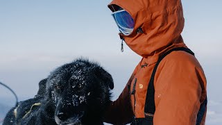 Fjällräven Polar 2023  This Arctic Expedition changed my Life [upl. by Midas385]