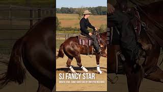 SJ Fancy Star 2020 AQHA Filly  ReiningRanch Horse Prospect congressranchhorsesale reining [upl. by Sihon443]