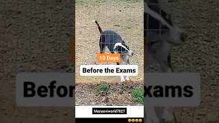 students during exams😆students funnyvideo exam shortsfeed lifequotes trendingreels ytshorts [upl. by Farland]