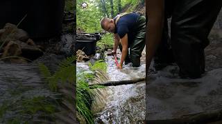 Finding Gold in a Mysterious Medieval Mine  Babbling Brook Sounds 🌲🏔️ [upl. by Naji]