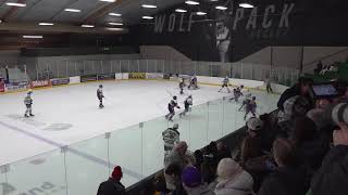 Park Cottage Grove vs CretinDerham Hall  MN High School Hockey 2152024 [upl. by Kala287]