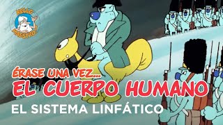 Erase Una Vez El Cuerpo Humano  El sistema linfático [upl. by Aneehsat]