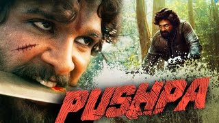 Pushpa Full Movie In Hindi Dubbed  Allu Arjun  Rashmika Mandana [upl. by Strenta]