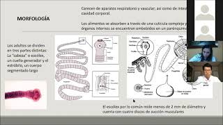 Cestodos Generalidades y Clasificación [upl. by Torbert]