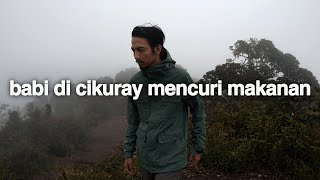 Ketidakterdugaan Gunung Cikuray Jawa Barat [upl. by Runstadler]