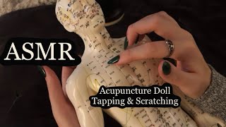 ASMR Gentle Tapping amp Scratching On An Acupuncture Doll No Talking [upl. by Llydnek864]