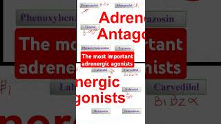 The most important adrenergic agonists [upl. by Kumagai]