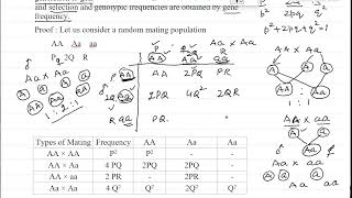 Random mating population Lecture 4 part 3 [upl. by Aisenat]