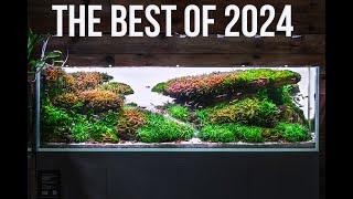 The Best Aquascape Of 2024 [upl. by Bak]