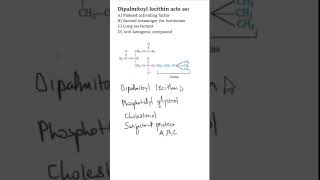 NEETPG BIOCHEMISTRY MCQS  Lung surfactants  Dipalmitoyl lecithin neetpgmcq neetpgpreperation [upl. by Eymaj]