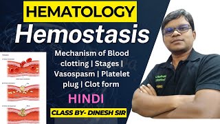 Hemostasis  Mechanism of Blood clotting  Stages  Vasospasm  Platelet plug  Blood clot  Hindi [upl. by Ainatit]