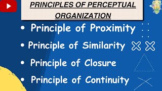 Perceptual organisation  Principles of Perceptual organisation  Class 11 Psychology Chapter 5  ob [upl. by Mendy]