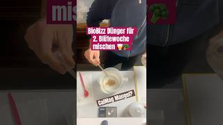 BioBizz Blütedünger mischen 🥃🥦 grow brokkoli dünger düngen tips plants gardening organic [upl. by Celio]