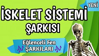 KEMİKLER ve EKLEMLER ŞARKISI  Fen Şarkıları [upl. by Ettenahc]