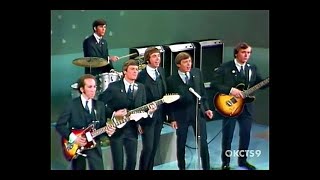 The Association  Cherish 1966Stereo [upl. by Enahpets457]