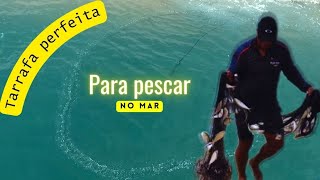 Ele pegou muitos peixes na praia tivemos que fazer peixe na panela de pressão [upl. by Soneson]