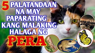 5 PALATANDAAN NA MAY PAPARATING KANG MALAKING HALAGA NG PERA [upl. by Tobin]