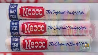 Necco Wafers Are Back [upl. by Notslah]