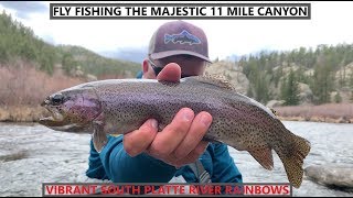 Fly Fishing Colorado South Platte River [upl. by Dnomal]