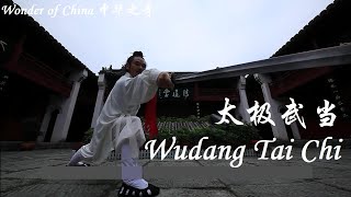 Wonder of China Wudang Tai Chi 中华之奇 太极武当 [upl. by Llenahs]