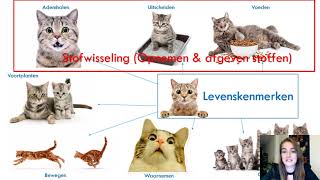 Samenvatting Planten amp Dieren 1MHV Biologie Boor Jou MAX [upl. by Sacttler570]