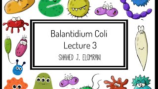 4 Balantidium Coli [upl. by Herald764]