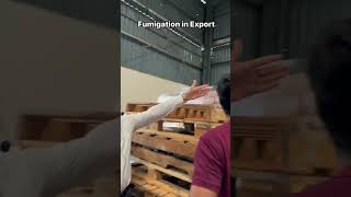 Pallets Fumigation in Export Import Export Profitable Business [upl. by Ahtelat]