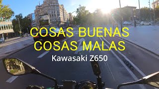 PROS y CONTRAS de mi moto  Kawasaki Z650 Review [upl. by Mccollum97]