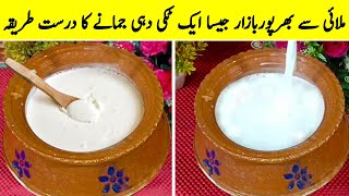 Cornflour Se Dahi Banane Ka Tarika  Dahi Banane Ka Aasan Tarika  Easy Yogurt Recip [upl. by Enidualc]