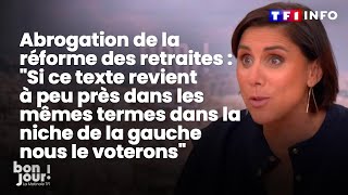 Réforme des retraites  quotSi ce texte revient dans la niche de la gauche nous le voteronsquot｜TF1 INFO [upl. by Kcirddor]