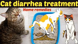 Cat diarrhea treatment and home remedies Common reason and treatment of cat diarrhea Drhira saeed [upl. by Oiziruam]