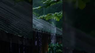 Natural Rain Sounds  Rain for Sleeping [upl. by Milt]